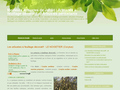 Arbustes  feuillage dcoratif et Arbustes persistants